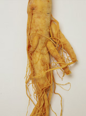 Ginseng HPR Retinoid + Bakuchiol Nutrient Face Oil