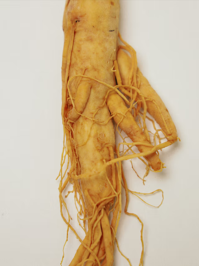 Ginseng HPR Retinoid + Bakuchiol Nutrient Face Oil