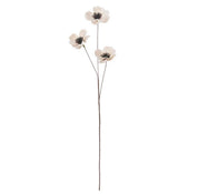 French anemone flower - nude