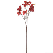 Coral bells flower - wine