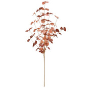 Eucalyptus - cerise