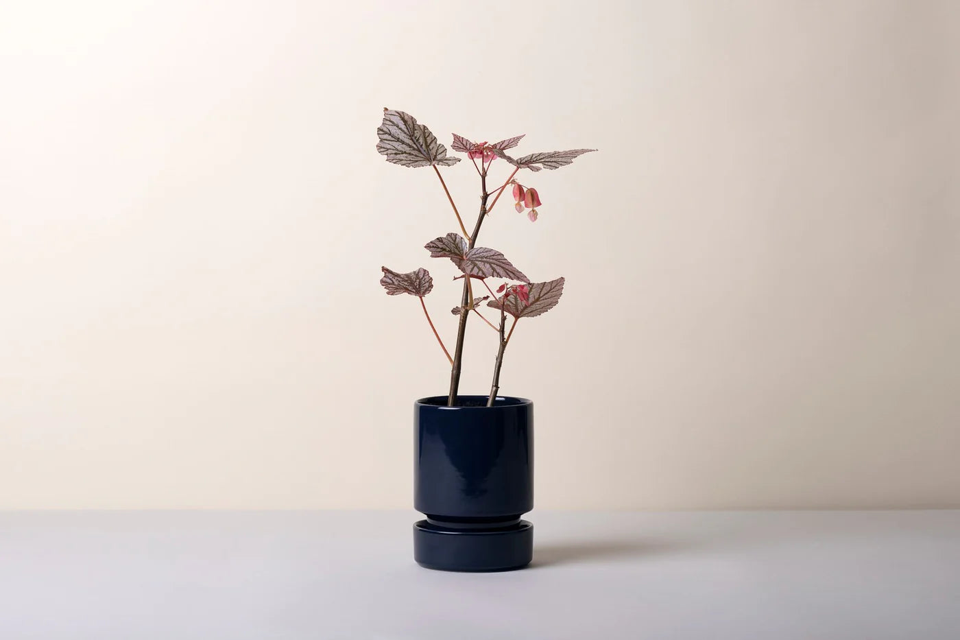 Hoff · Glaseret urtepotte med underskål ø. 12 - Sapphire blue