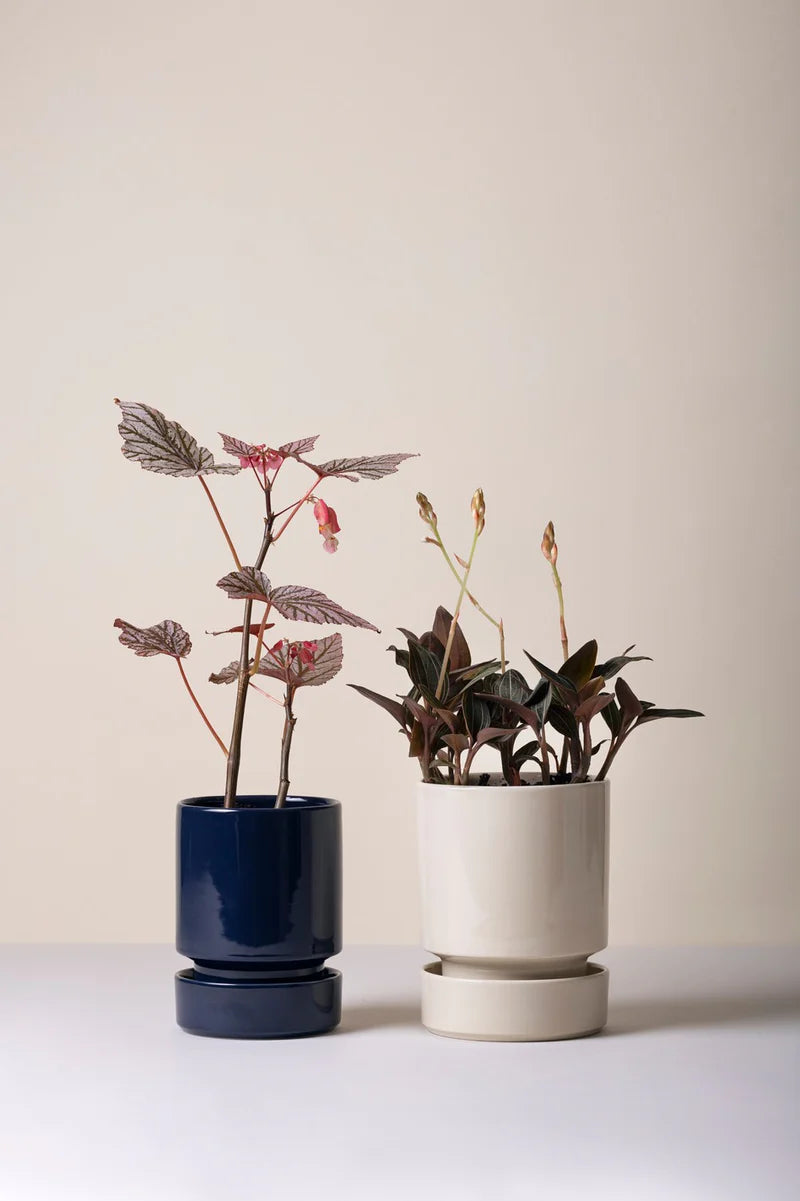 Hoff · Glaseret urtepotte med underskål ø. 12 - Sapphire blue