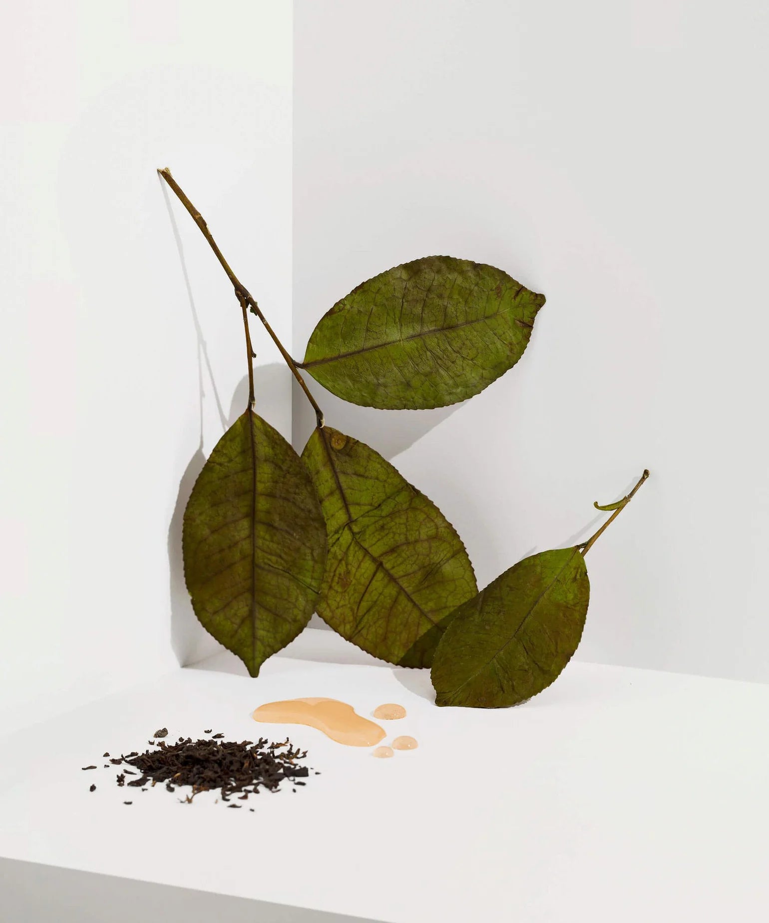 Tin Can big - Earl Grey