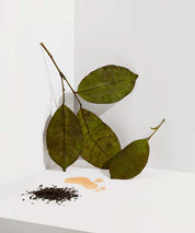 Tin Can big - Earl Grey
