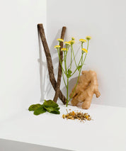 Tin Can big - Organic Herbal blend