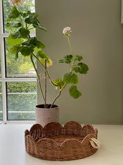 JOU rattan tray round