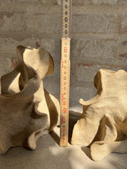 Vingestage natur - mellem