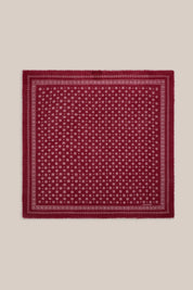 Olaf Scarf N°676 - Velvet