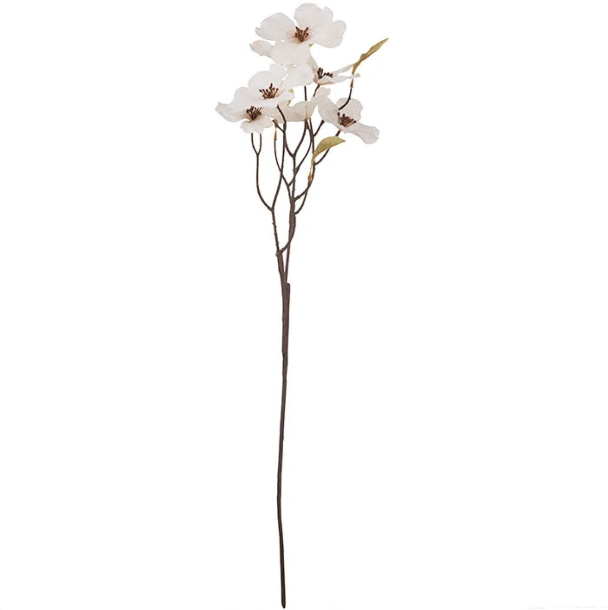 Coral bells flower - white