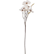 Coral bells flower - white