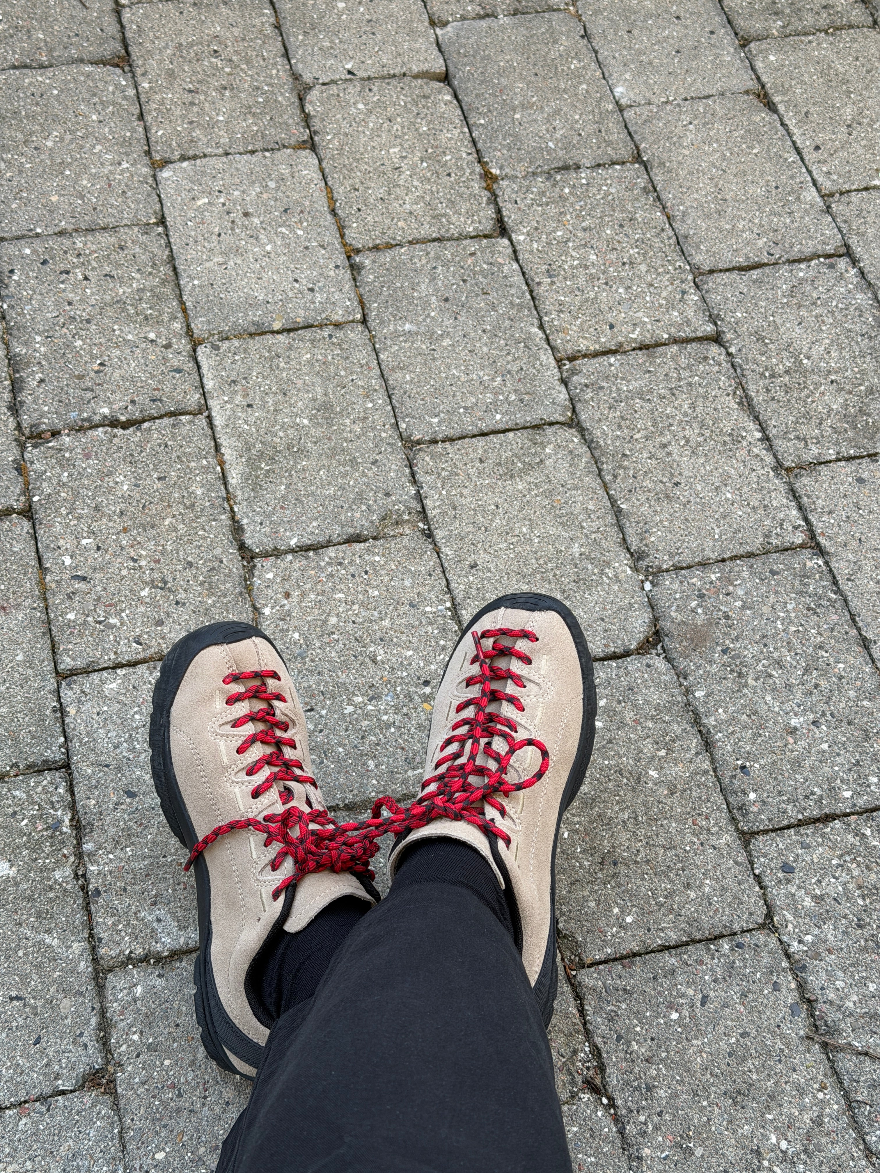 Jasper sneakers - silver mink
