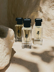 Eau de Parfum - Blackened Santal