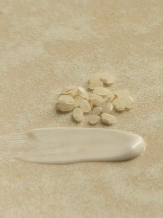 Rice Probiotics Gentle Ferment Cream