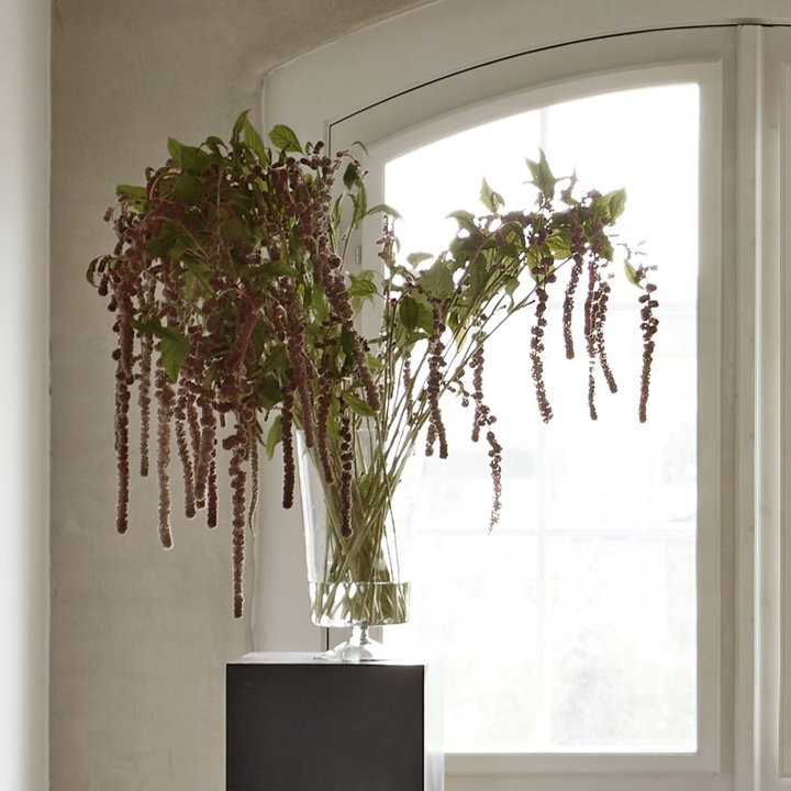 tinekhome_home_22_glpokal-l.jpg__720x720_q85_crop_subsampling-2_upscale.jpg